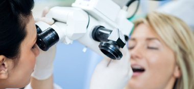 endodonta